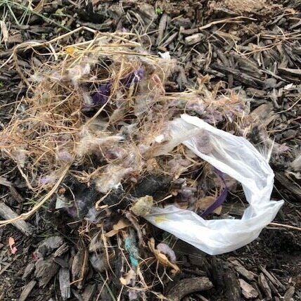 Here’s what was packed into the dryer vent. Momma bird hadn’t laid any eggs yet!